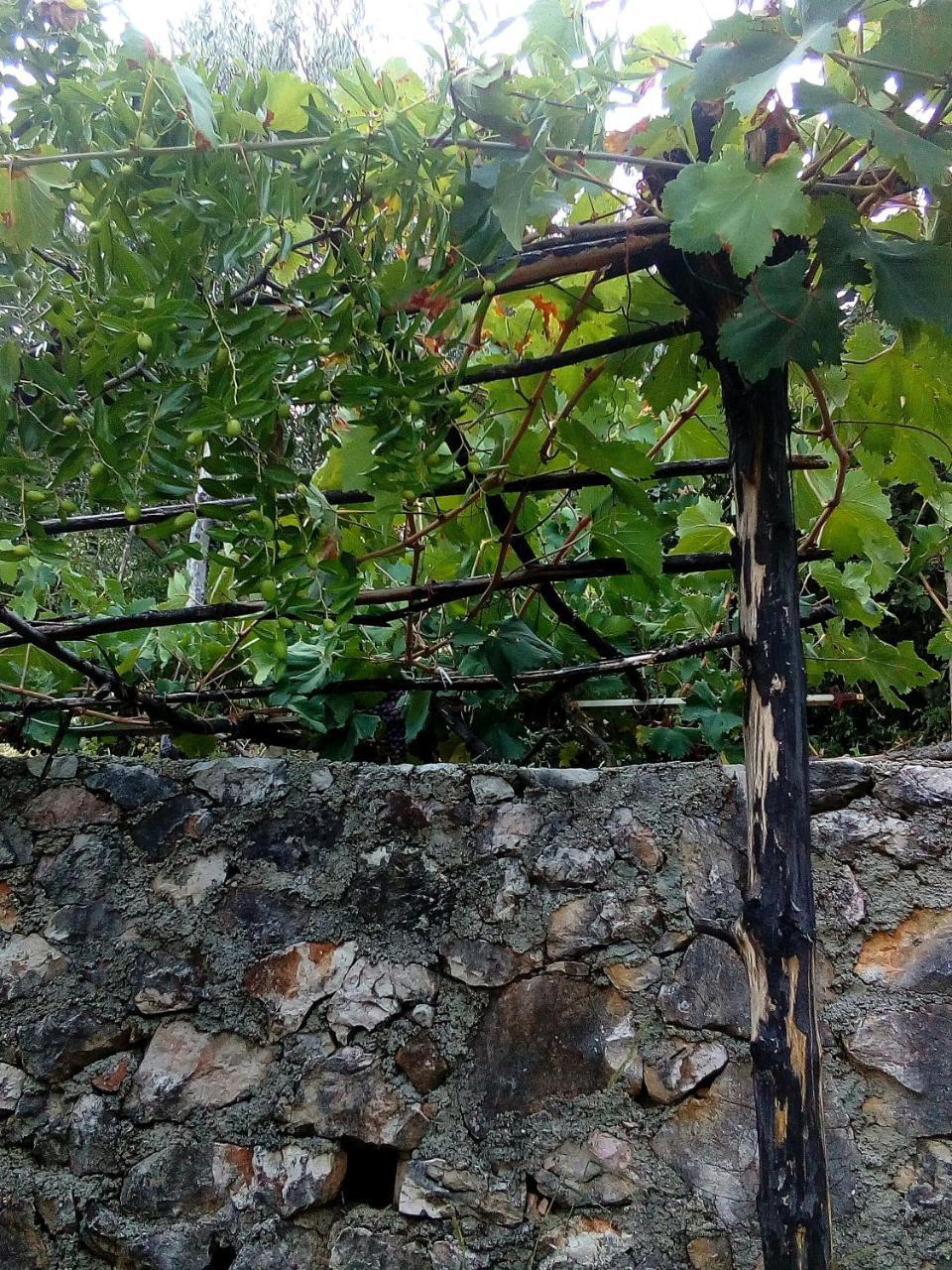 Country House "Lipa" Komarno Virpazar Exterior photo