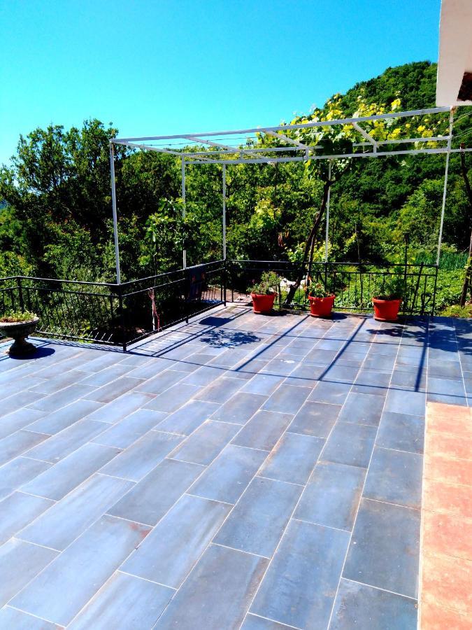 Country House "Lipa" Komarno Virpazar Exterior photo